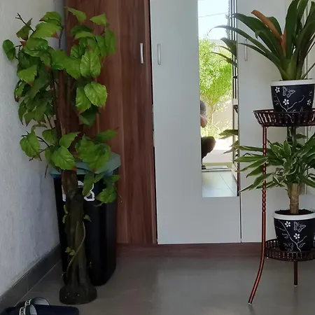 Apartment Hadze