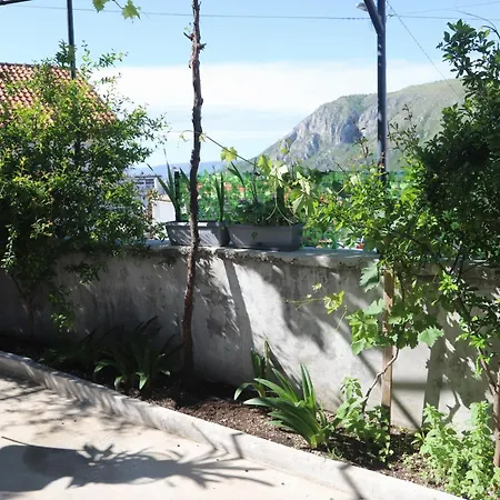 Hadze Apartment *