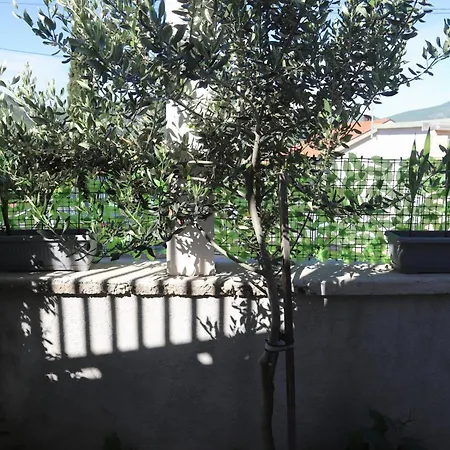 Apartment Hadze